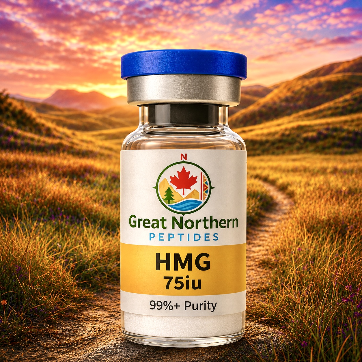 HMG 75iu — Great Northern Peptides source product image