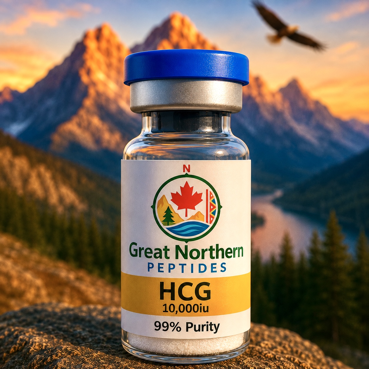 HCG 10000IU — Great Northern Peptides source product image