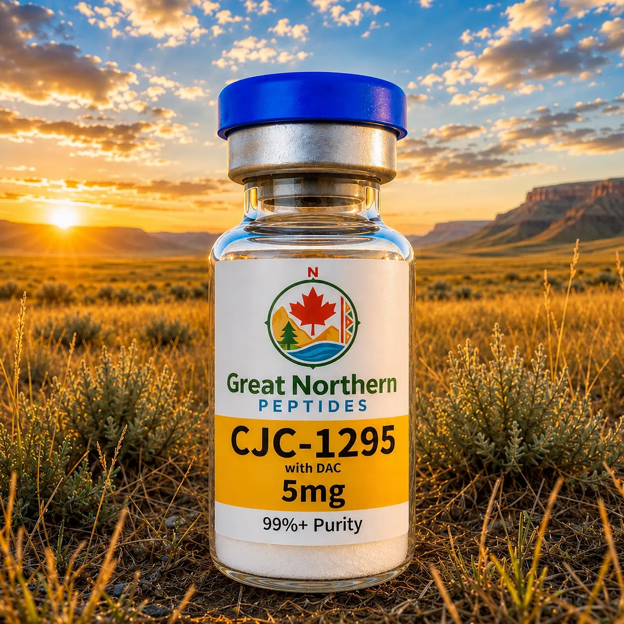 CJC-1295 with DAC 5mg — Great Northern Peptides source product image